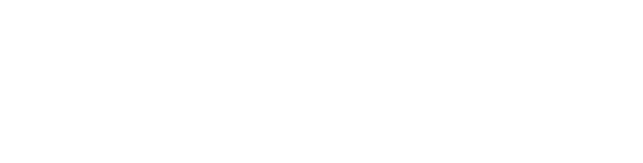 monitorul de moldova logo white